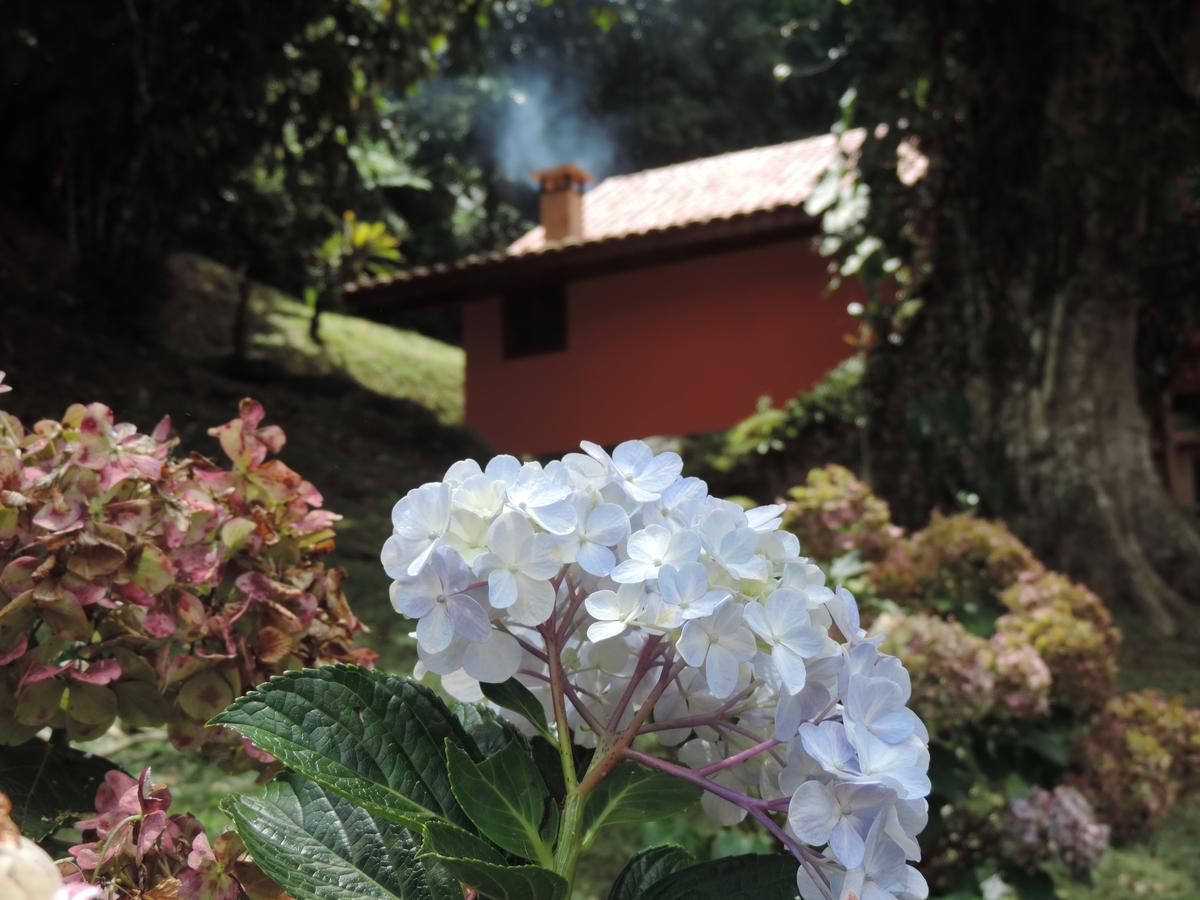 Chale Truta Da Floresta Visconde De Maua Ngoại thất bức ảnh
