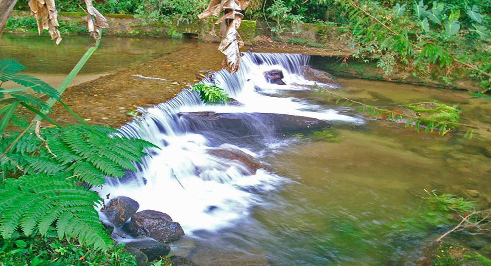 Chale Truta Da Floresta Visconde De Maua Ngoại thất bức ảnh