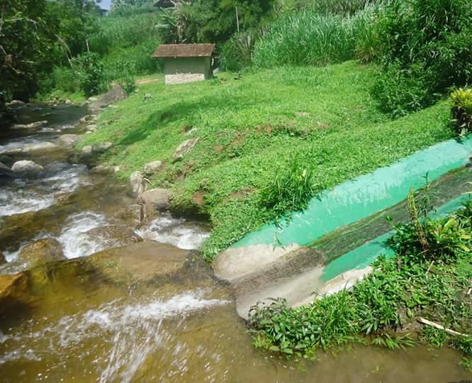 Chale Truta Da Floresta Visconde De Maua Ngoại thất bức ảnh