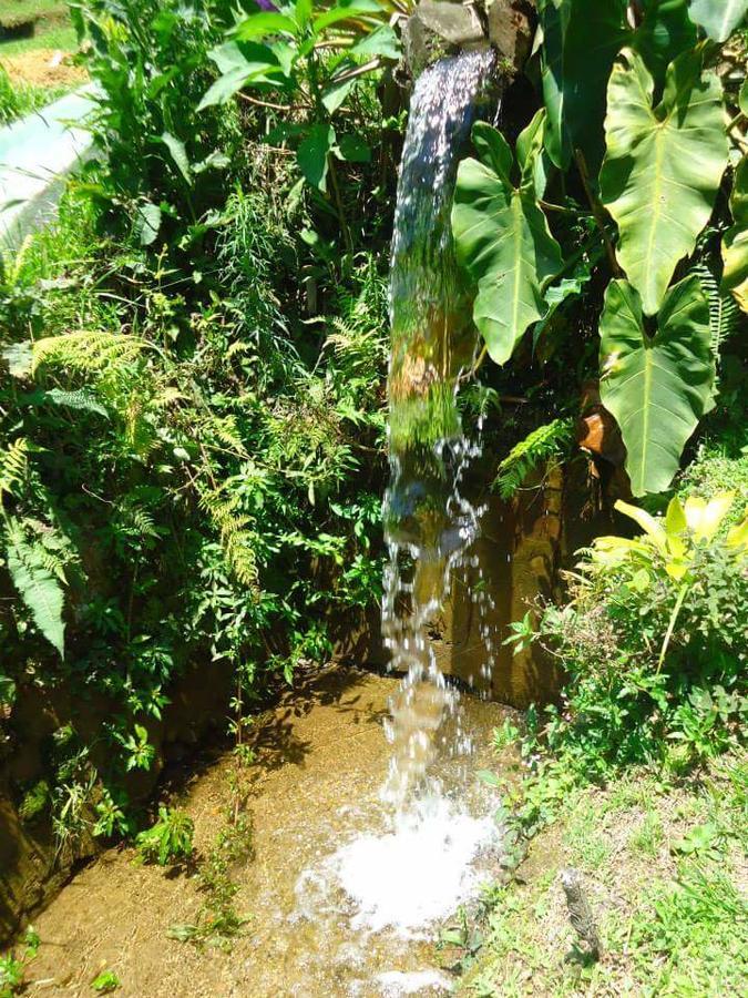 Chale Truta Da Floresta Visconde De Maua Ngoại thất bức ảnh